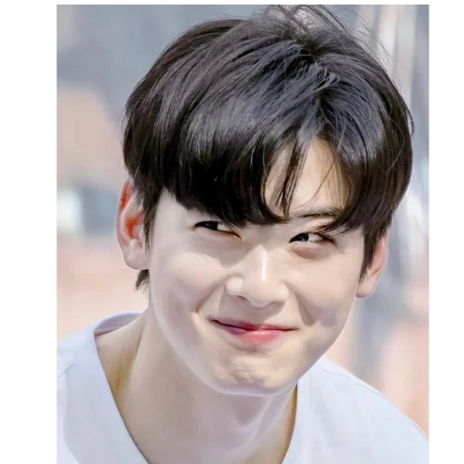 asiático, actor, cha eunwoo, cha eun woo, actor coreano