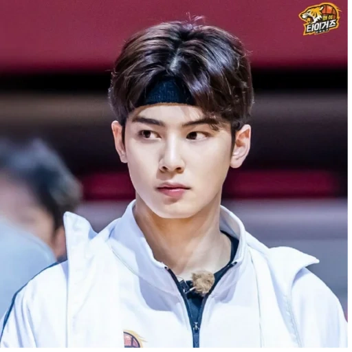 asian, cha eunwoo, thai actor, korean actor