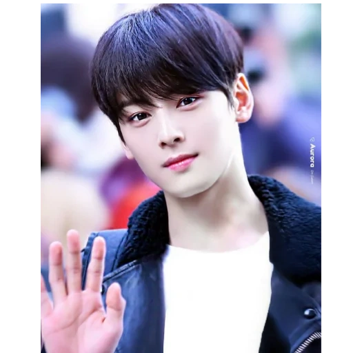 che ennu, cha enyu, cha eun woo, korean actor