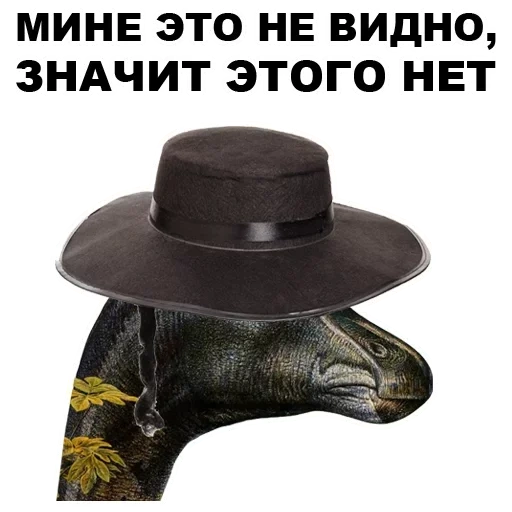 chapeau, chapeau avec des rythmes, dinosaures d'odessa, chapeau zorro ts noir