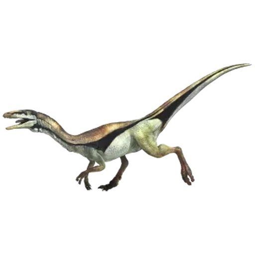 динозавр овираптор, тираннозавр динозавр, велоцираптор динозавр, дейноних велоцираптор, compsognathus динозавр