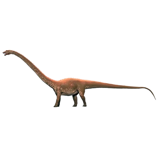 brachiosaurus арк, диплодок брахиозавр, динозавр брахиозавр, брахиозавр или брохиозавр, доклад о динозавре брахиозавр