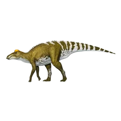 брахилофозавр, яксартозавр динозавр, гадрозавры ламбеозавр, брахилофозавр леонардо, брахилофозавр динозавр
