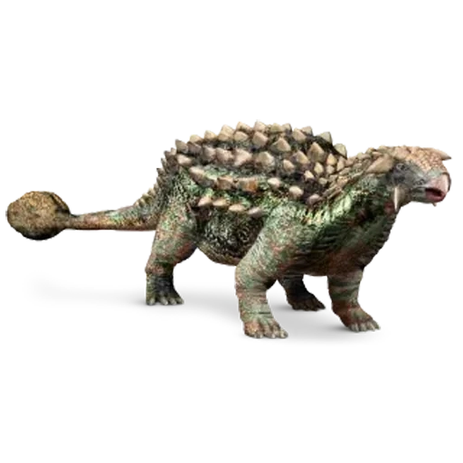 анкилозавр, анкилозавр зайхания, анкилозавр динозавр белом фоне, анкилозавр травоядный динозавр, анкилозавр парк юрского периода