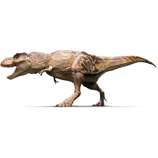 тираннозавр, тираннозавр рекс, тираннозавр рекс модель, тираннозавр рекс тарбозавр, тираннозавр против спинозавра