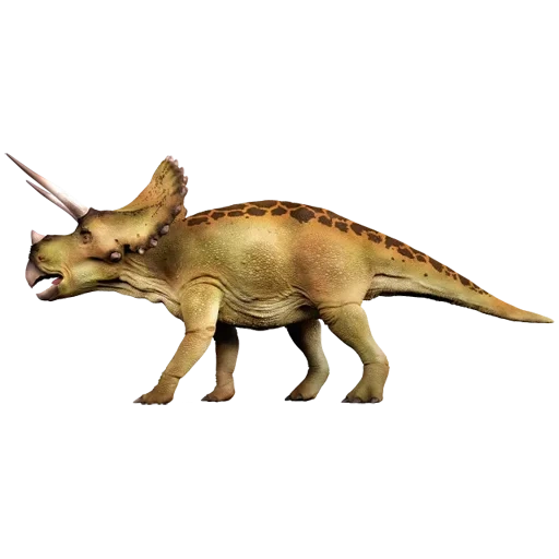 dinosaur, трицератопс 2021, трицератопс динозавр, анхицератопс динозавр, трицератопс протоцератопс
