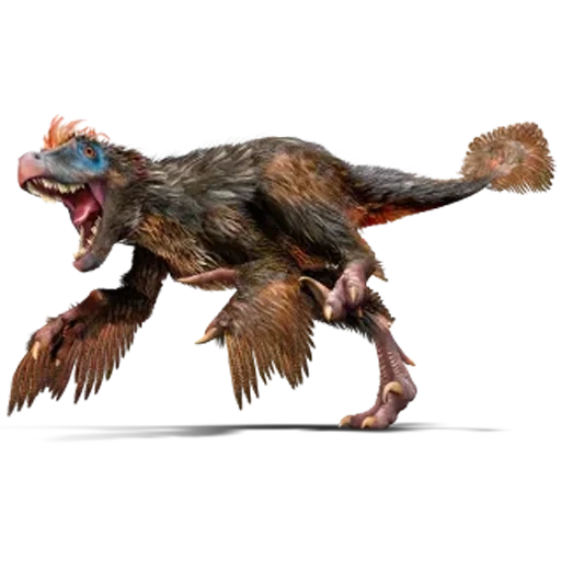 дейноних динозавр, мир юрского периода, велоцираптор динозавр, similicaudipteryx динозавр, велоцираптор против пахицефалозавр