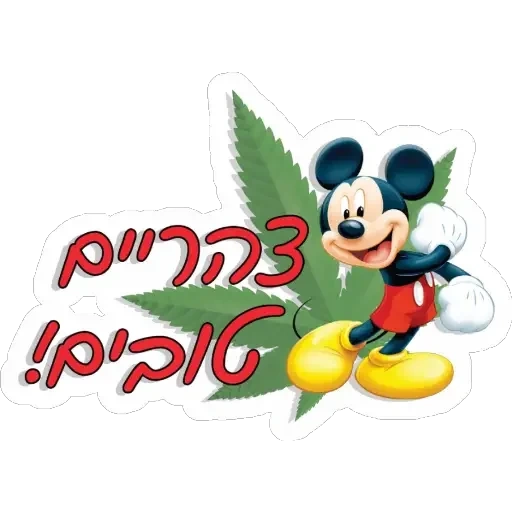 der männliche, micky maus, mickey mouse club, mickey mouse minnie, mickey mouse mickey mouse