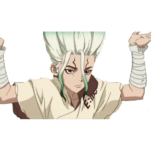 dr stone, dr stone senku, personaggi anime, dr stone senka, sanka dr stone