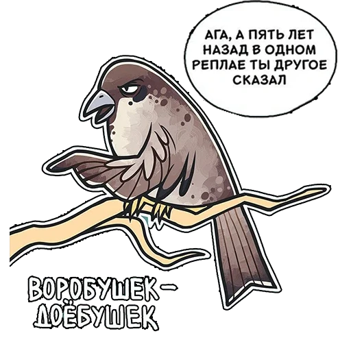 vorozhushki, bird canary, vorozhushki milkmaids, vorozhushki milkmaids, pigeon gennady comic