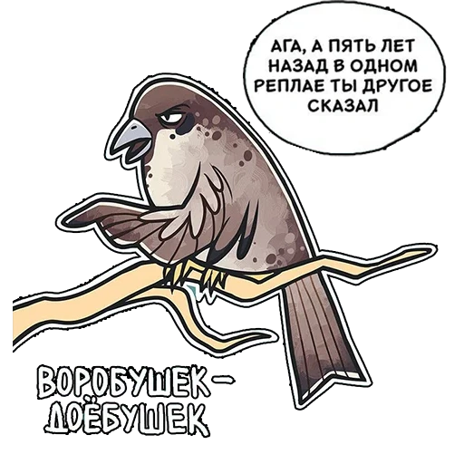 vorozhushki, burung canary, vorozhushki milkmaids, vorozhushki milkmaids, komik pigeon gennady