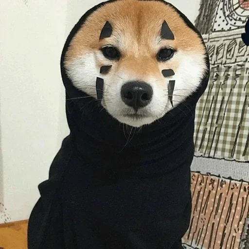 ниха, doge, сиба ину, shiba inu, модная собака мем