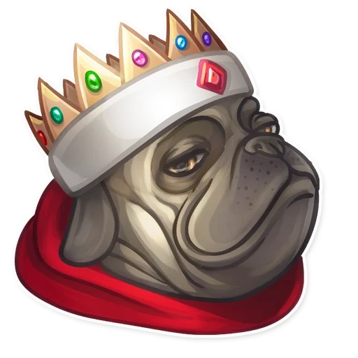 dog, king of pug, watsap wolk, wochapa hookah