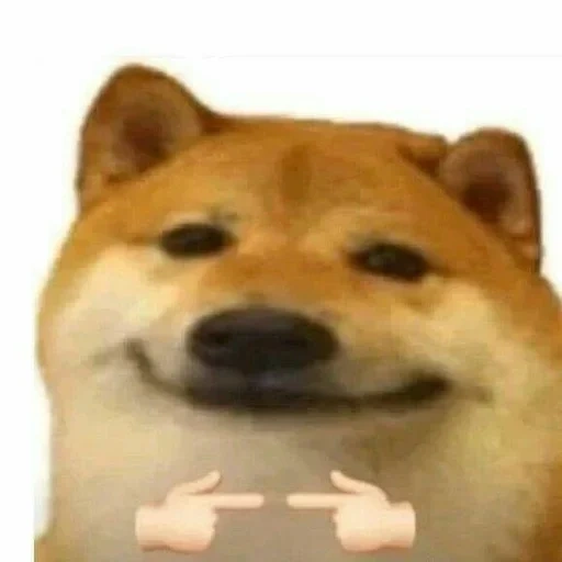 yos meme, dog meme, doge crown, dogs smiles, banner albedo eols