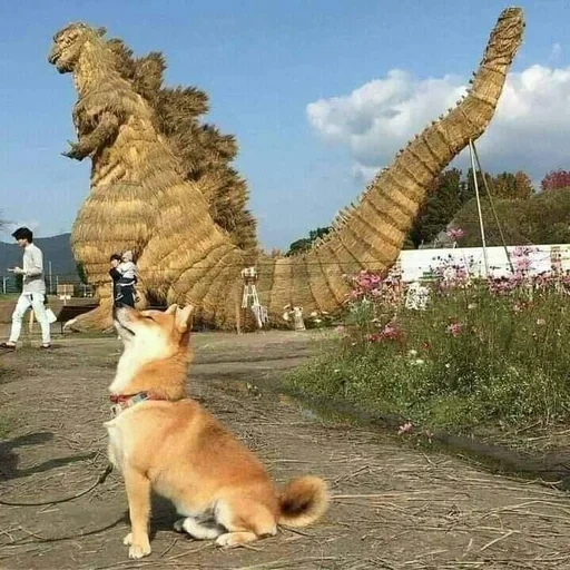 siba inu, shiba inu, godzilla perro, hija de vovka vladivostok, uno para mi bebé fallout new vegas