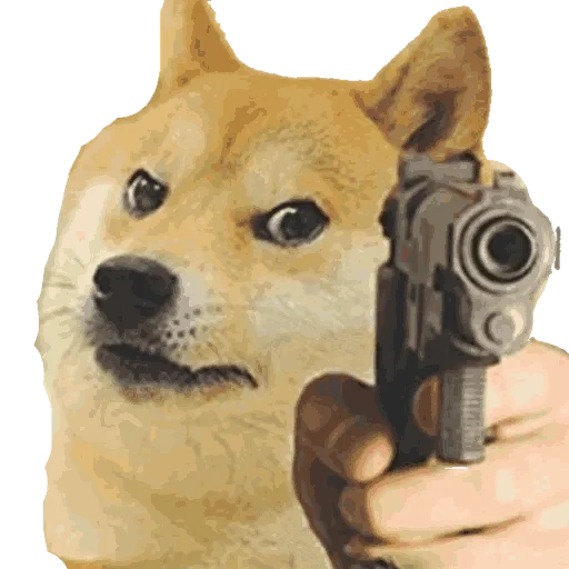 doge, doge gun, doge мем, doge токен, doge пистолетом