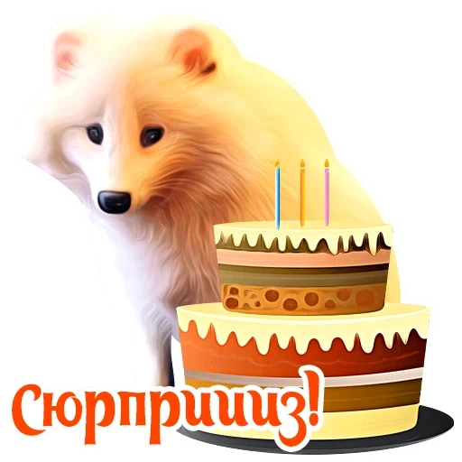 la volpe, torta di volpe, le volpi, cane di compleanno, tanti auguri a wolfka