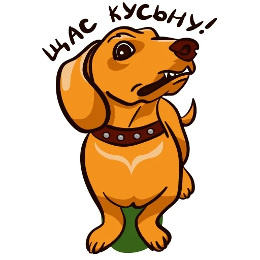 salchicha, perro salchicha, crazy dachshund