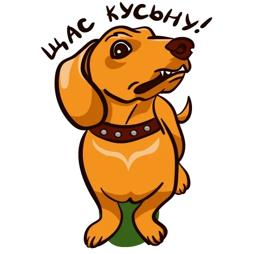 teckel, teckel, crazy dachshund