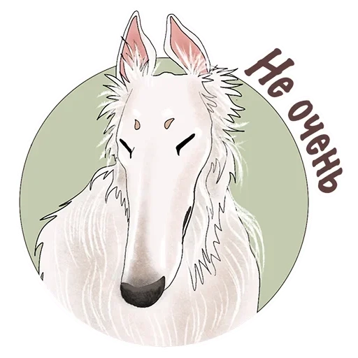 unicorn, white horse