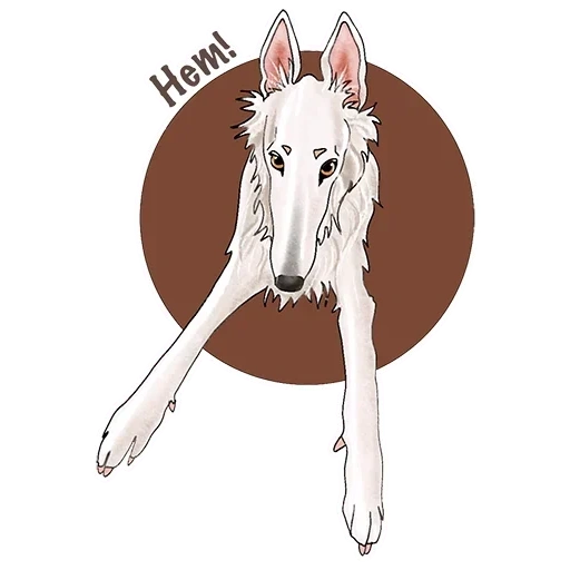 greyhound de cachorro, cachorro borza, greyhound russo, cão de greyhound russo