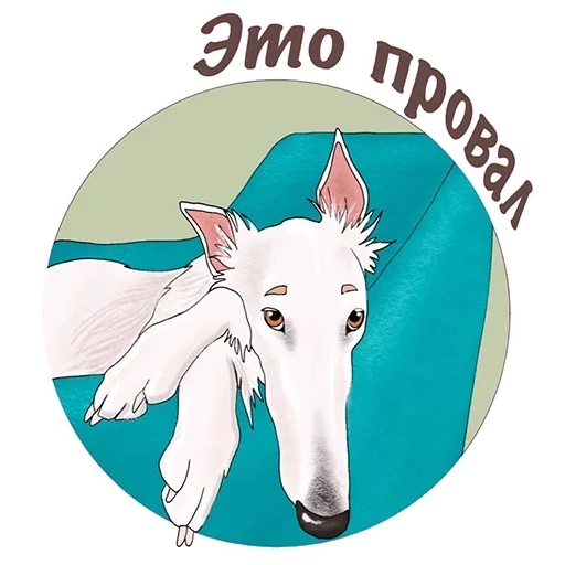 borza puppy, borza dog, breed russian dog borza