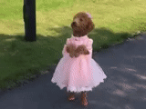 giphy, child, unknown, the best gifs