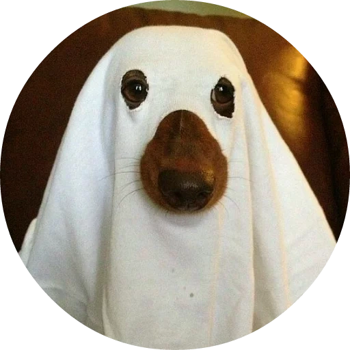 le chien est amené, dogs ghosts