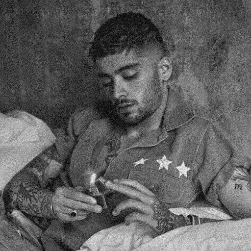 zayn, zane, zanin malik, grayson dolan 2020, ninguém está a ouvir o zane malik