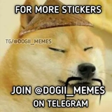 Doge / @dogii_memes