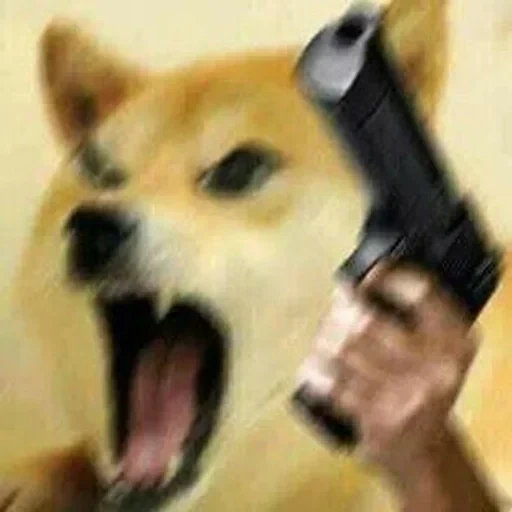 doge, boy, doge meme, dog meme, doge with a gun