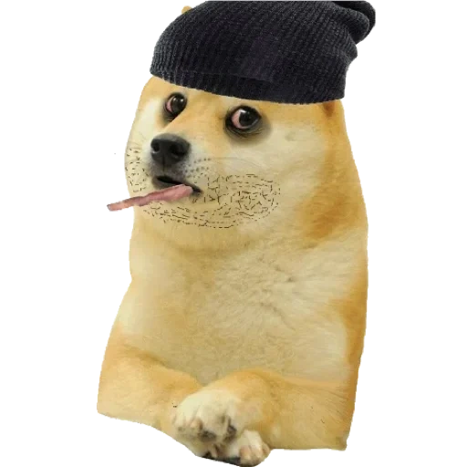 perros mlg, meme dogado, dumer de perro, dogado photoshop, memes sobre los chimes de perro