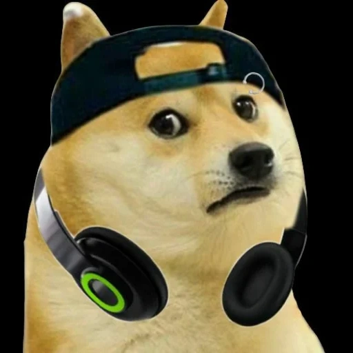 the doge, funny, doug moon, meme doge, dog meme symbol