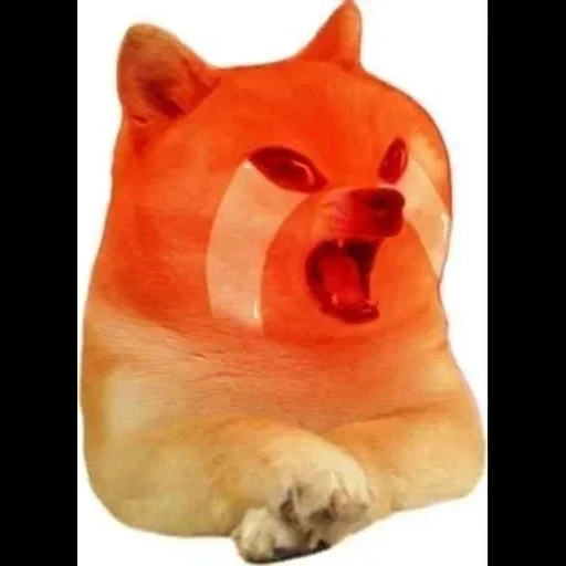 chems, doge meme, baby doge, camerophone, enter the request