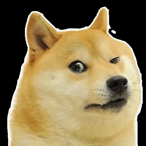 the doge, dogecoin, the meme dog, shiba inu meme, wow suche dogecoin