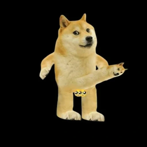 doge, dogecoin, 999 doge, camerofone, cheems doge avatar