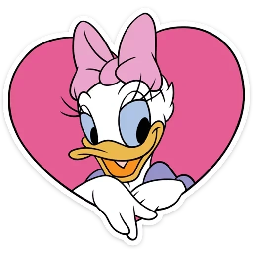 pato daisy, pato daisy, pato daisy, personagem da disney, daisy duck love