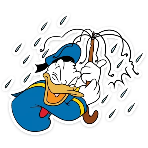 daisy duck, donald duck, donald daisy, dessins animés de donald duck