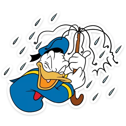 pato daisy, pato donald, donald daisy, cartoon pato donald