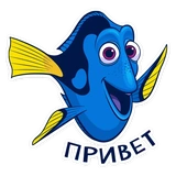 dory_vk