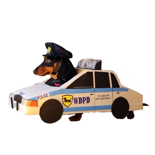 такса police, такса полиция, такса police k9, такса полицейский, технопарк форд пикап полиция собакой