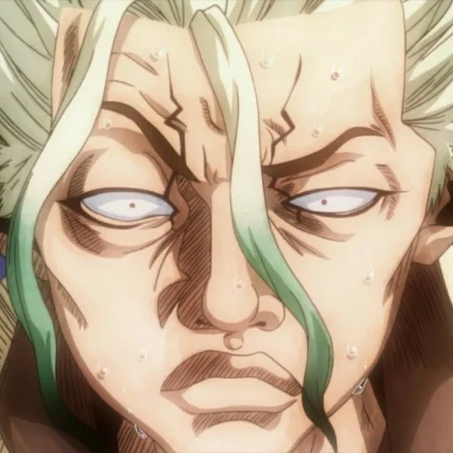 dr stone, o dr stone está muito zangado, animação do dr stone, dr senku stone, dr stone sanku