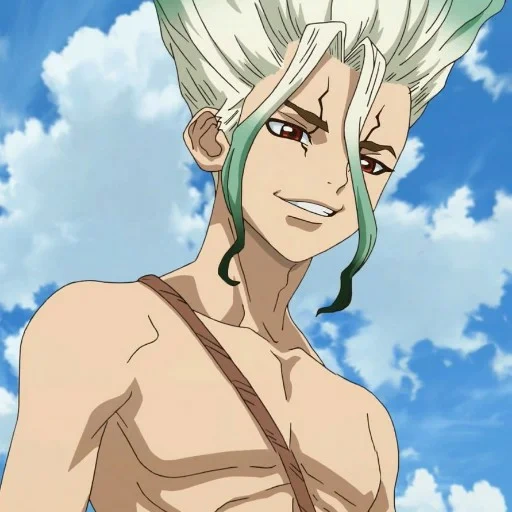 dr stone, anime characters, anime dr stone, senka dr stone, sanko anime dr stone