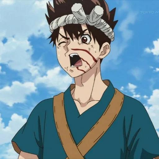 dr stone, dr stone kinro, dr stone 14, anime characters, brody dr stone