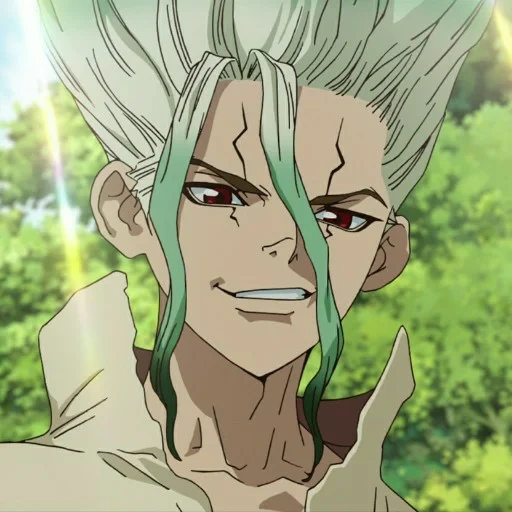 asuras, dr stone, senka ishigami, anime dr stone, stone senka