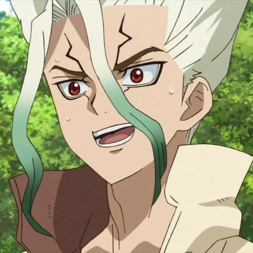 dr stone, dr stone 2, senka dr stone, hugo dr stone, stone lilian