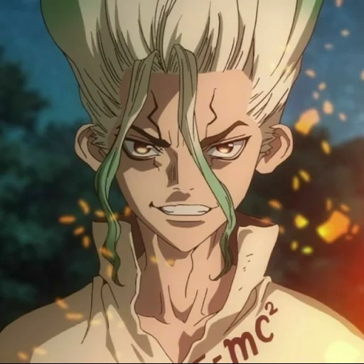 dr stone, dr stone, dr stone anime, dr stone anime, anime dr stone senka