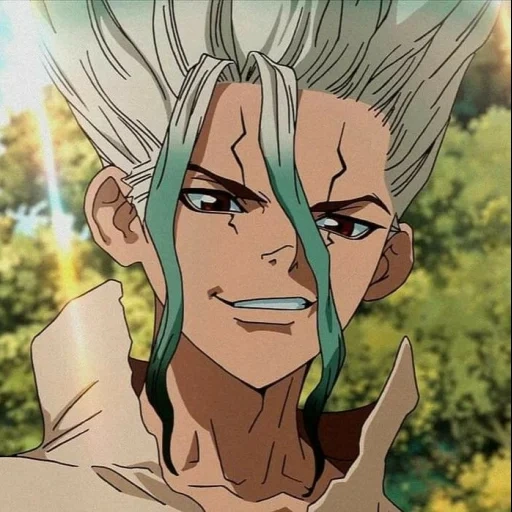 dr stone, ishikami senku, dr stone senku, anime dr stone, senku stone