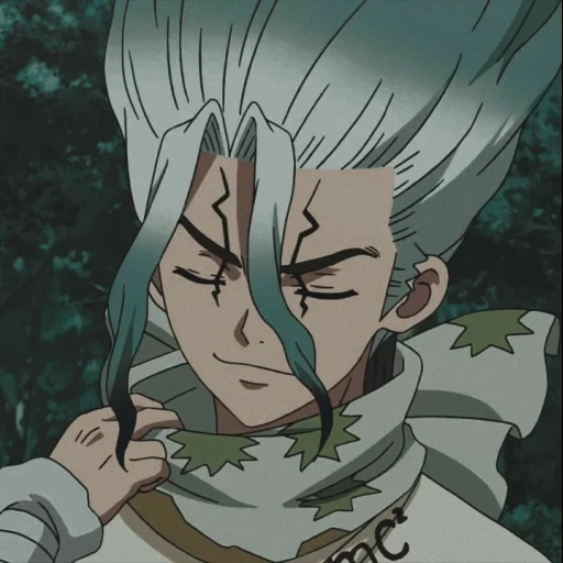 dr stone, senka ishigami, anime dr stone, dr stone senka, anime dr stone senka