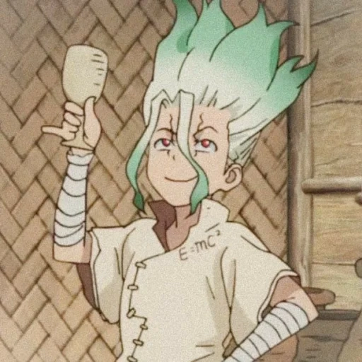 dr stone, dr stone senku, animação do dr stone, dr senku stone, dr stonesenku